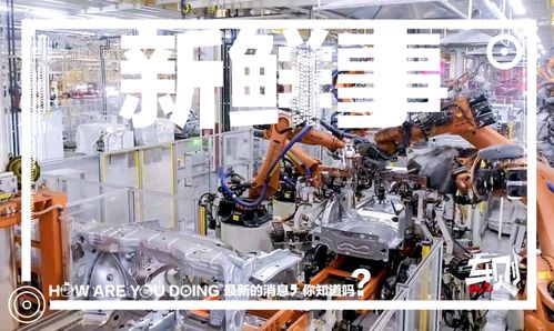 走進(jìn)上汽大眾長沙工廠 車媒老鳥的圓夢之旅，探秘斯柯達(dá)泥地打樁機(jī)般完美品質(zhì)