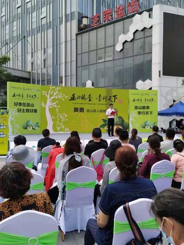 重慶李子年產(chǎn)量約68.8萬噸,脆李種植戶基本實(shí)現(xiàn)家門口就能投遞